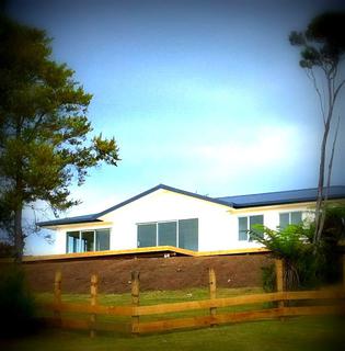 New Home | Lichen